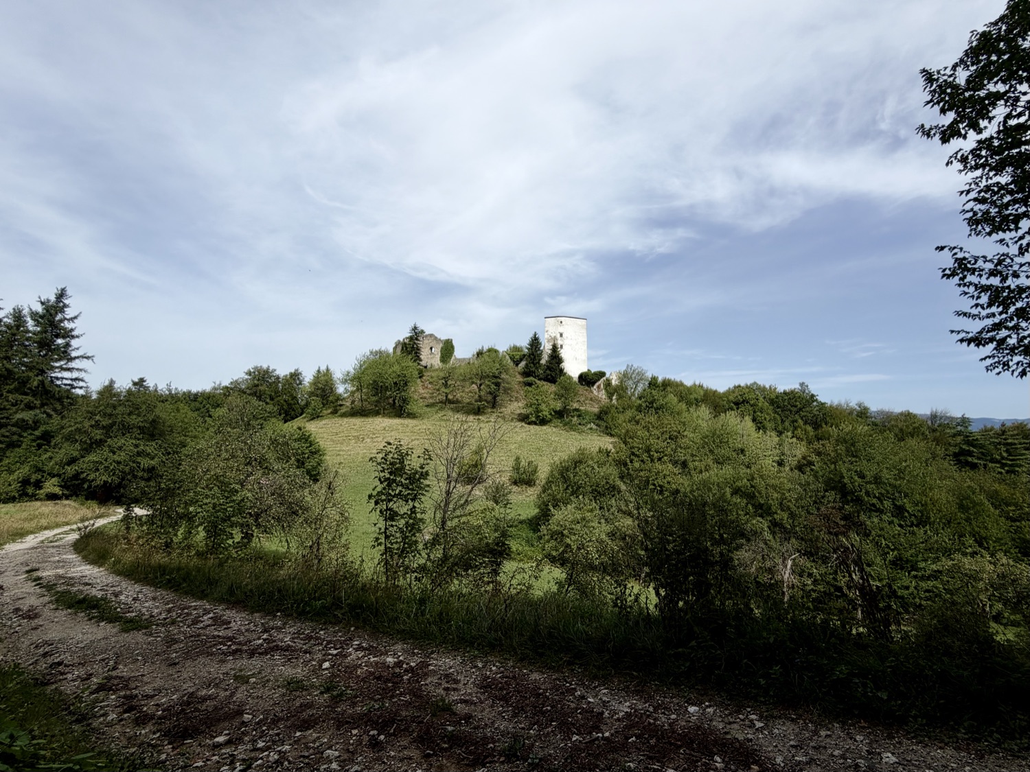 A gravel path curving through green meadow and bushes towards a hill topped with castle ruins and a white stone tower